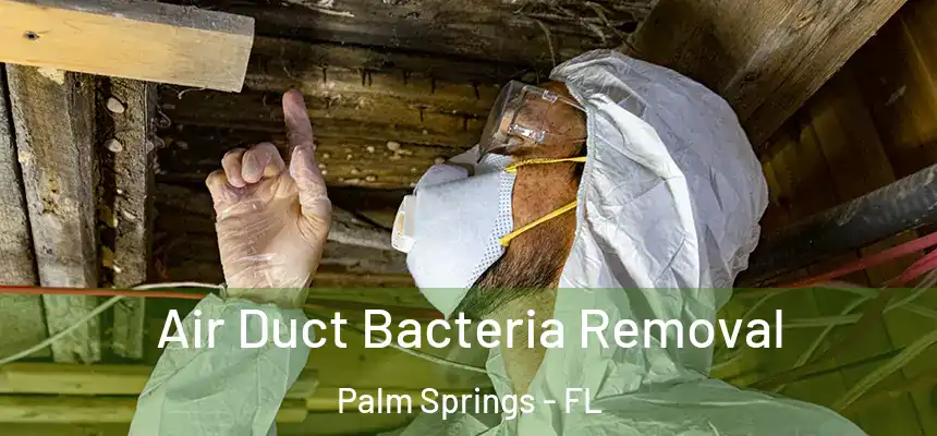 Air Duct Bacteria Removal Palm Springs - FL