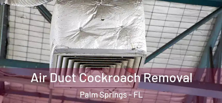 Air Duct Cockroach Removal Palm Springs - FL