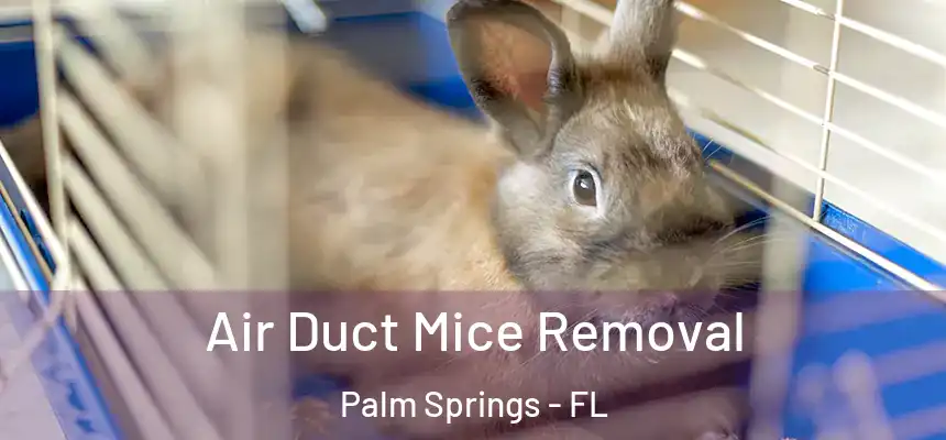 Air Duct Mice Removal Palm Springs - FL
