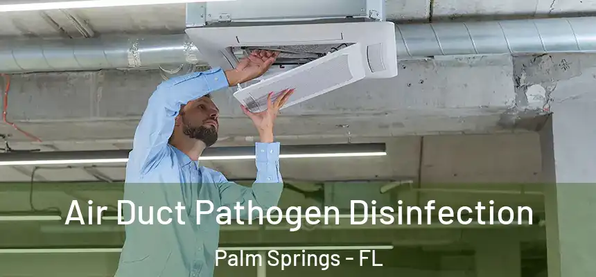 Air Duct Pathogen Disinfection Palm Springs - FL