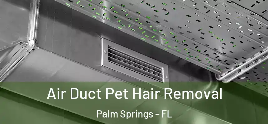 Air Duct Pet Hair Removal Palm Springs - FL