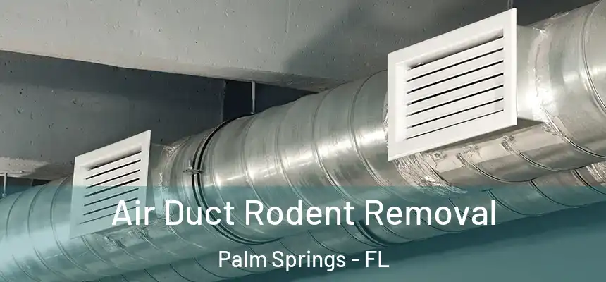  Air Duct Rodent Removal Palm Springs - FL