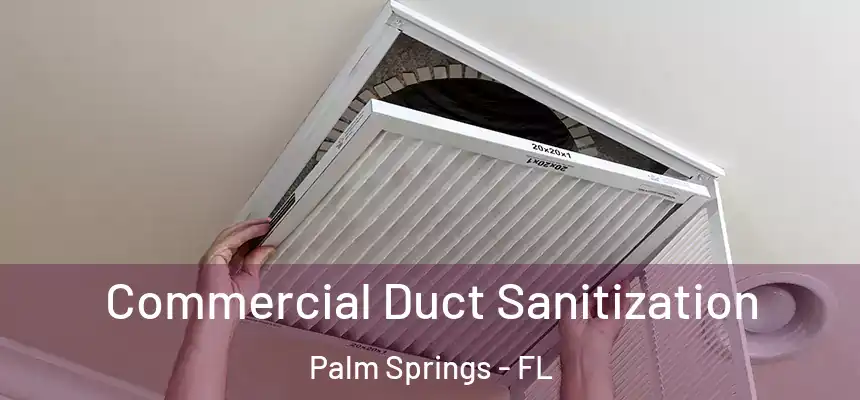 Commercial Duct Sanitization Palm Springs - FL