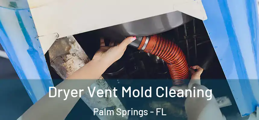 Dryer Vent Mold Cleaning Palm Springs - FL