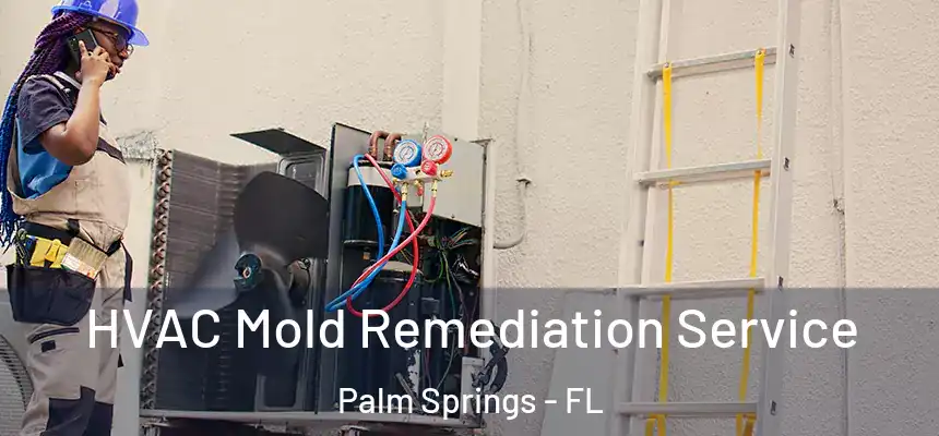 HVAC Mold Remediation Service Palm Springs - FL