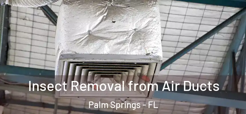 Insect Removal from Air Ducts Palm Springs - FL