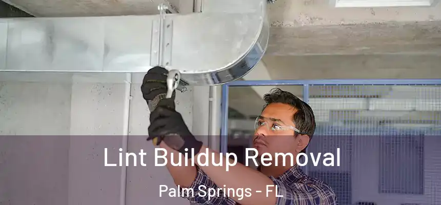 Lint Buildup Removal Palm Springs - FL