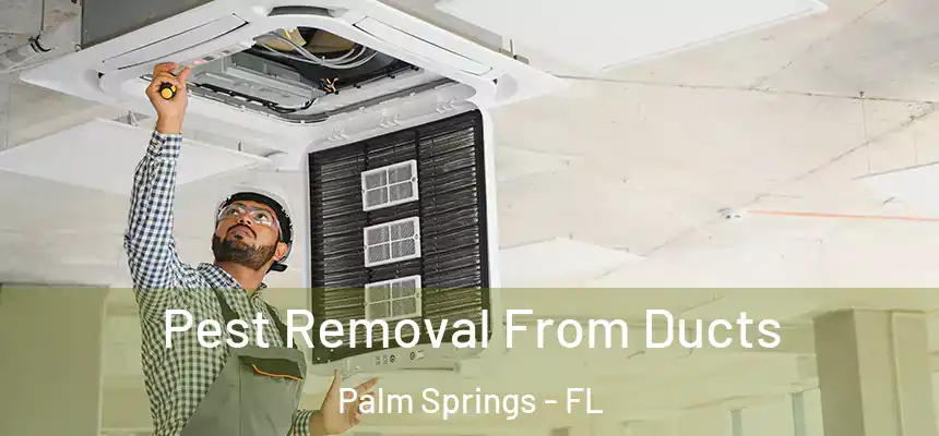 Pest Removal From Ducts Palm Springs - FL