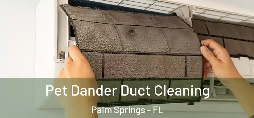 Pet Dander Duct Cleaning Palm Springs - FL