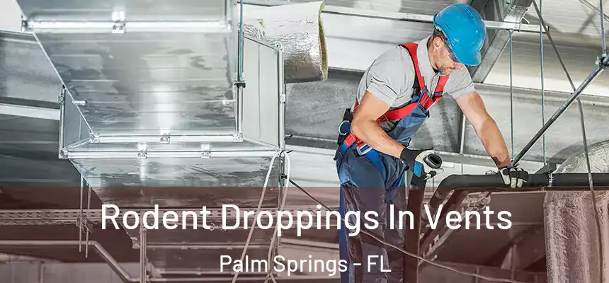 Rodent Droppings In Vents Palm Springs - FL