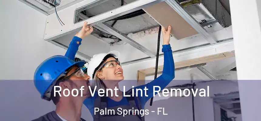 Roof Vent Lint Removal Palm Springs - FL