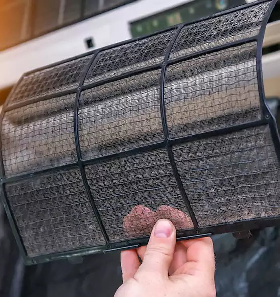 About Pet Dander Duct Cleaning in Palm Springs, FL